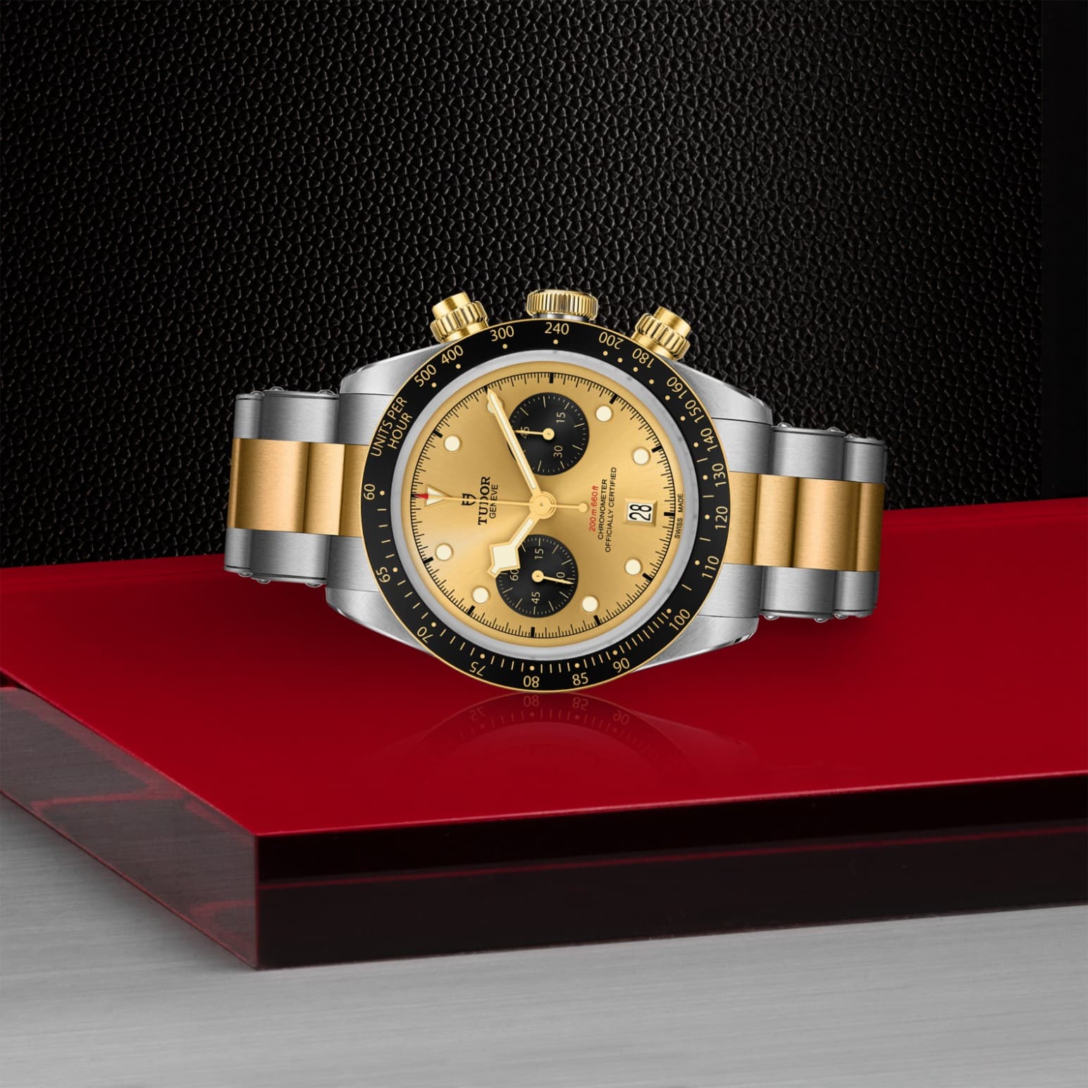 tudor-m79363n-0007-1.jpg