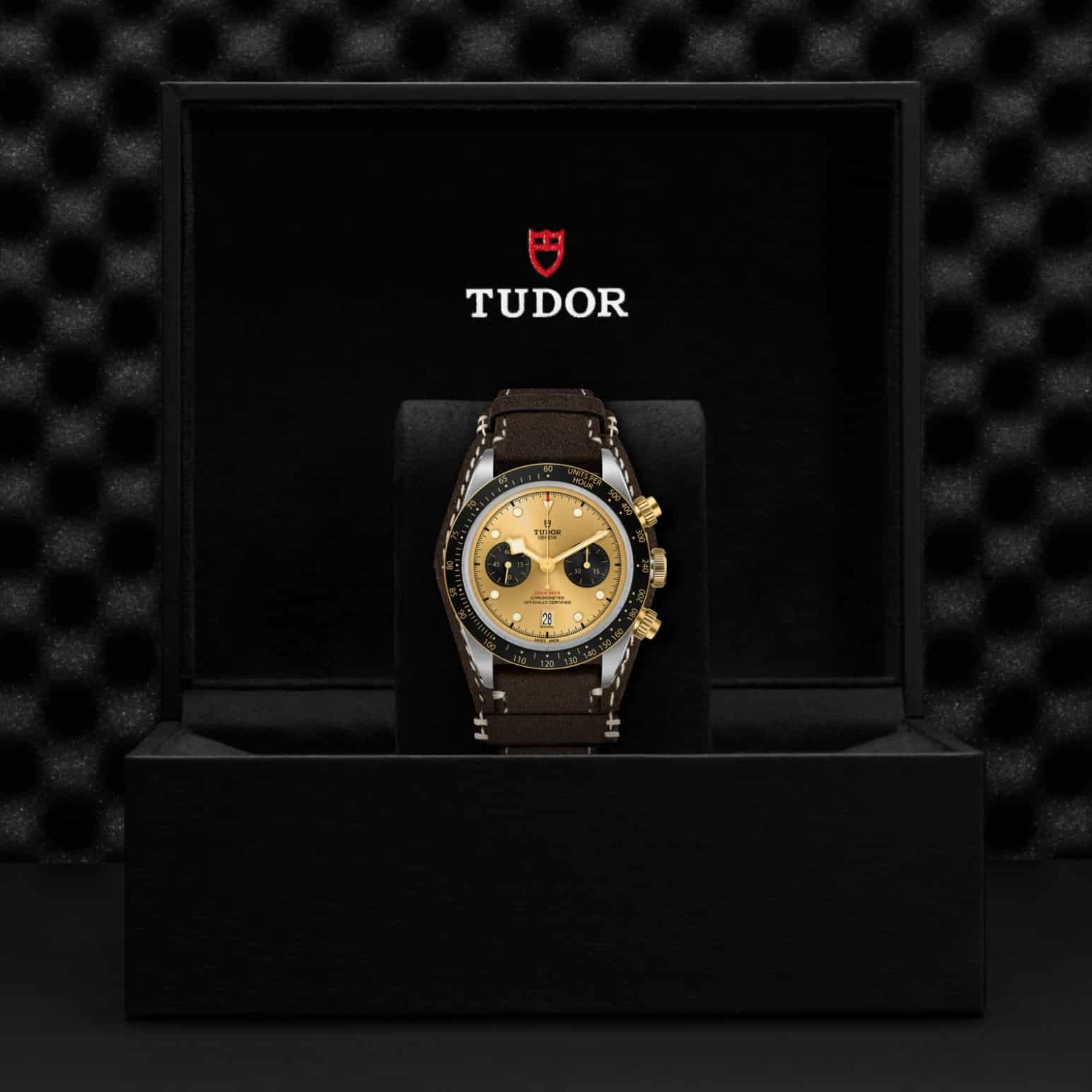 tudor-m79363n-0008-2.jpg