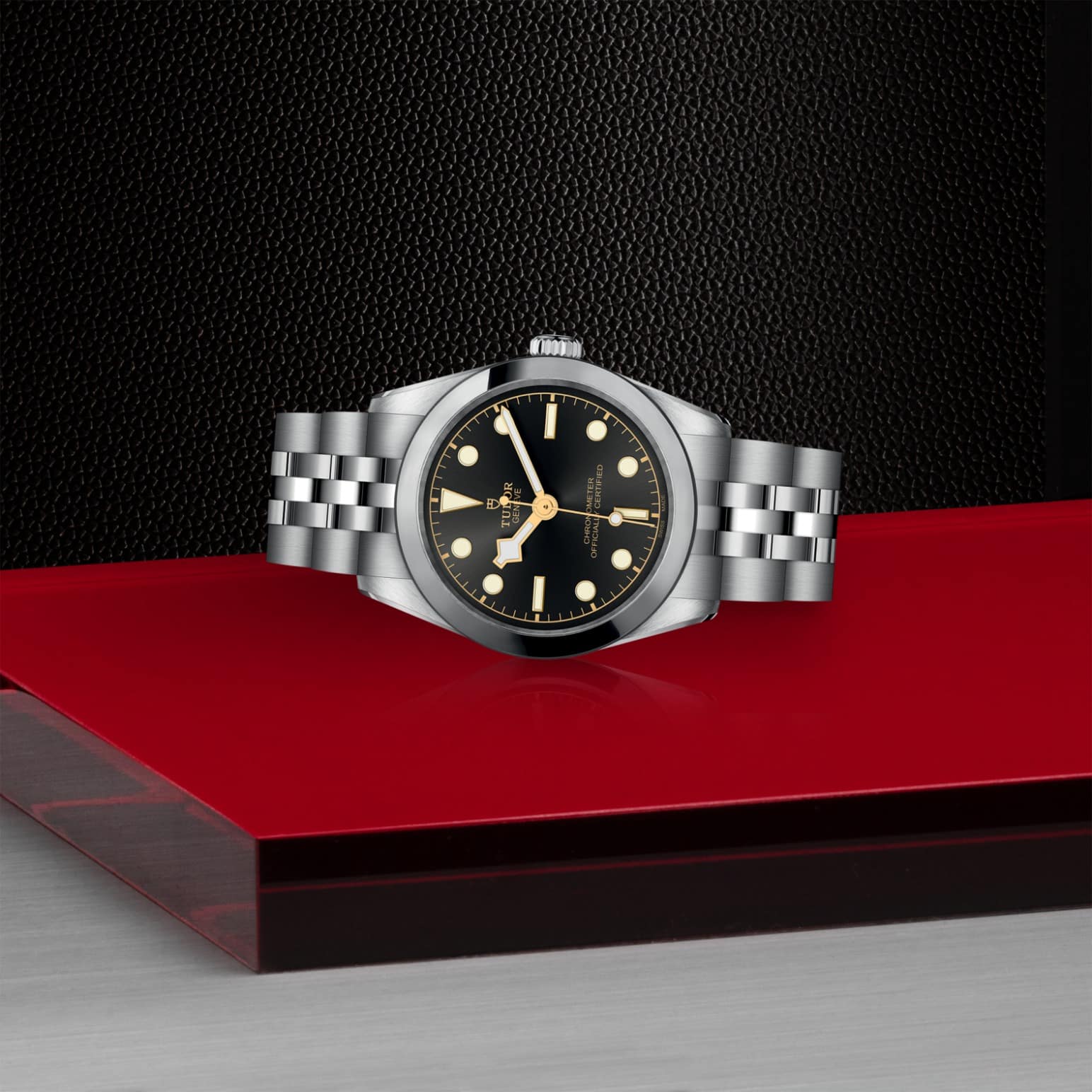 tudor-m79600-0001-1.jpg