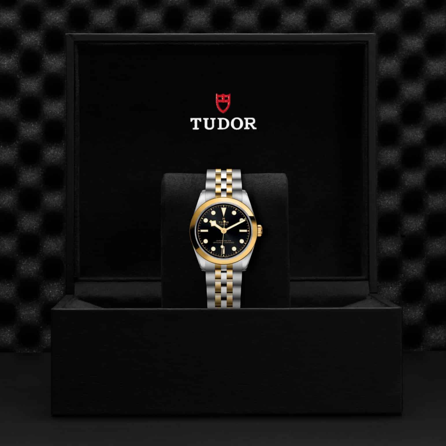tudor-m79603-0001-2.jpg