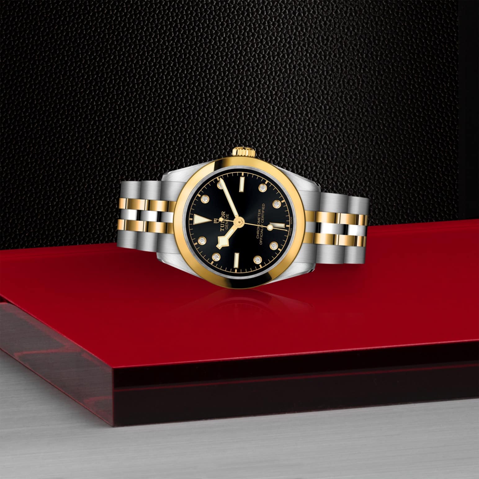 tudor-m79603-0006-1.jpg