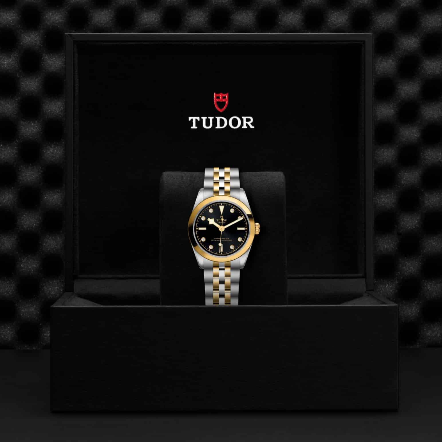 tudor-m79603-0006-2.jpg