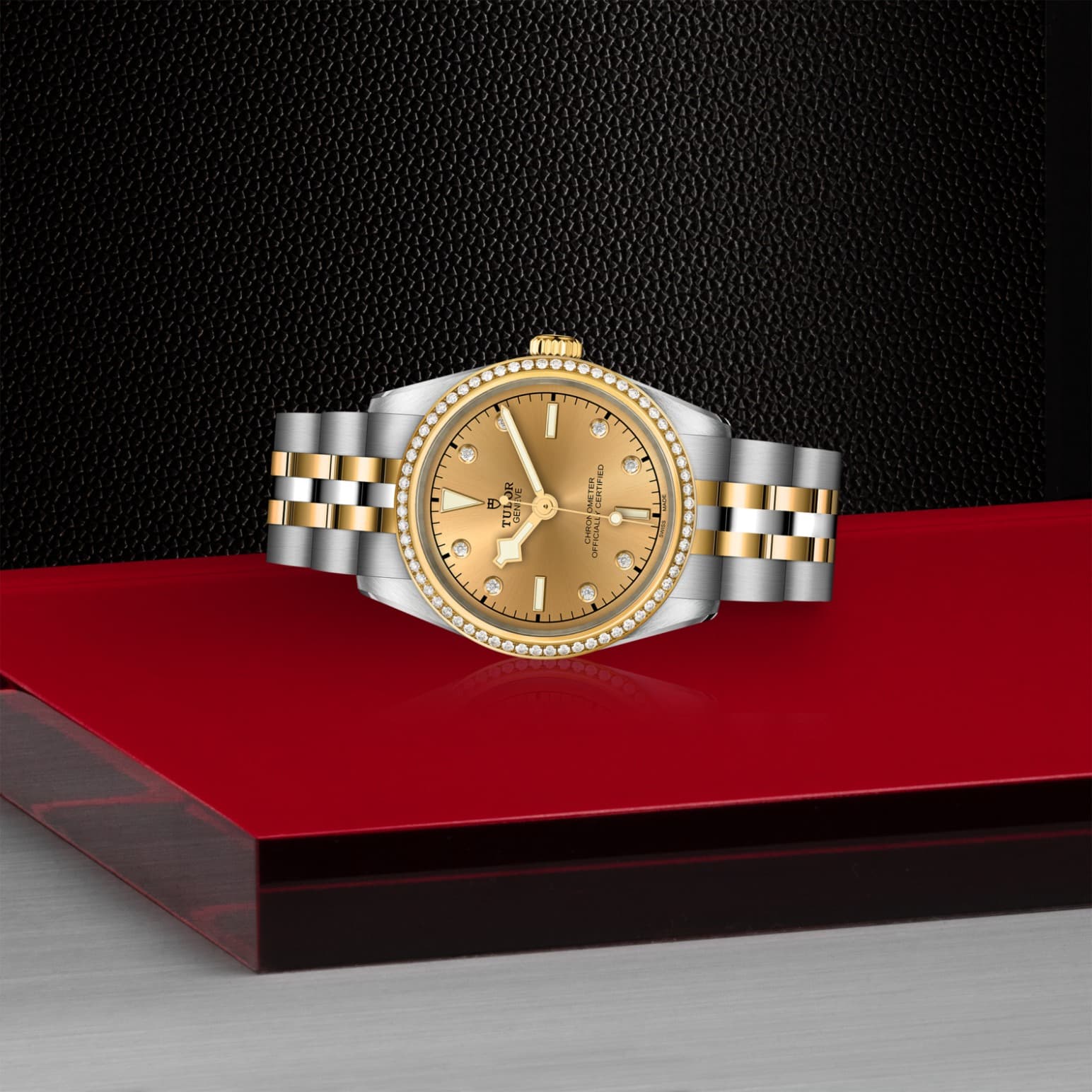 tudor-m79613-0007-1.jpg