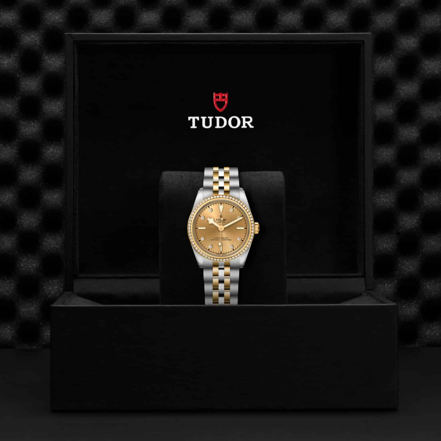 tudor-m79613-0007-2.jpg