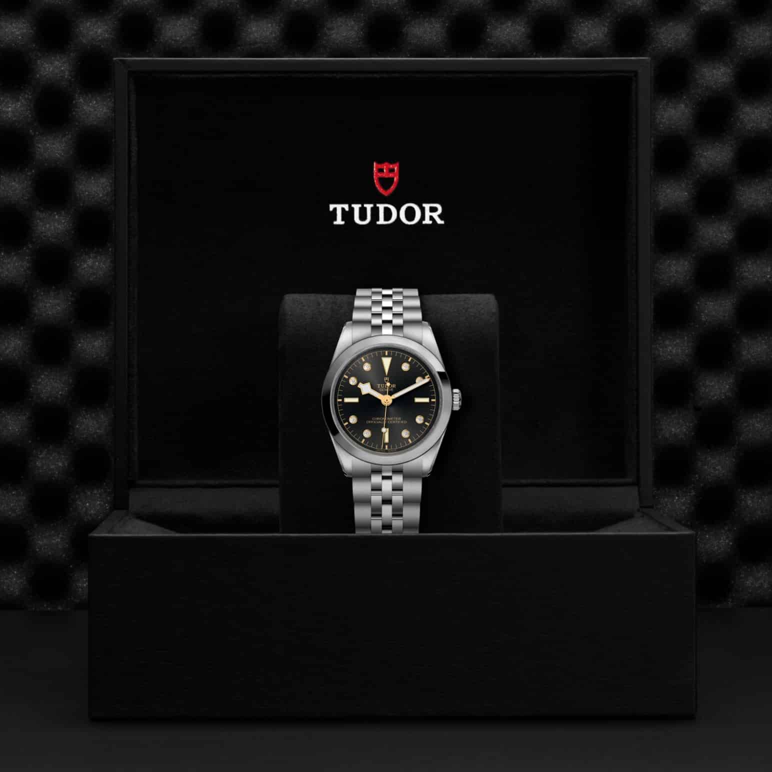 tudor-m79640-0004-2.jpg
