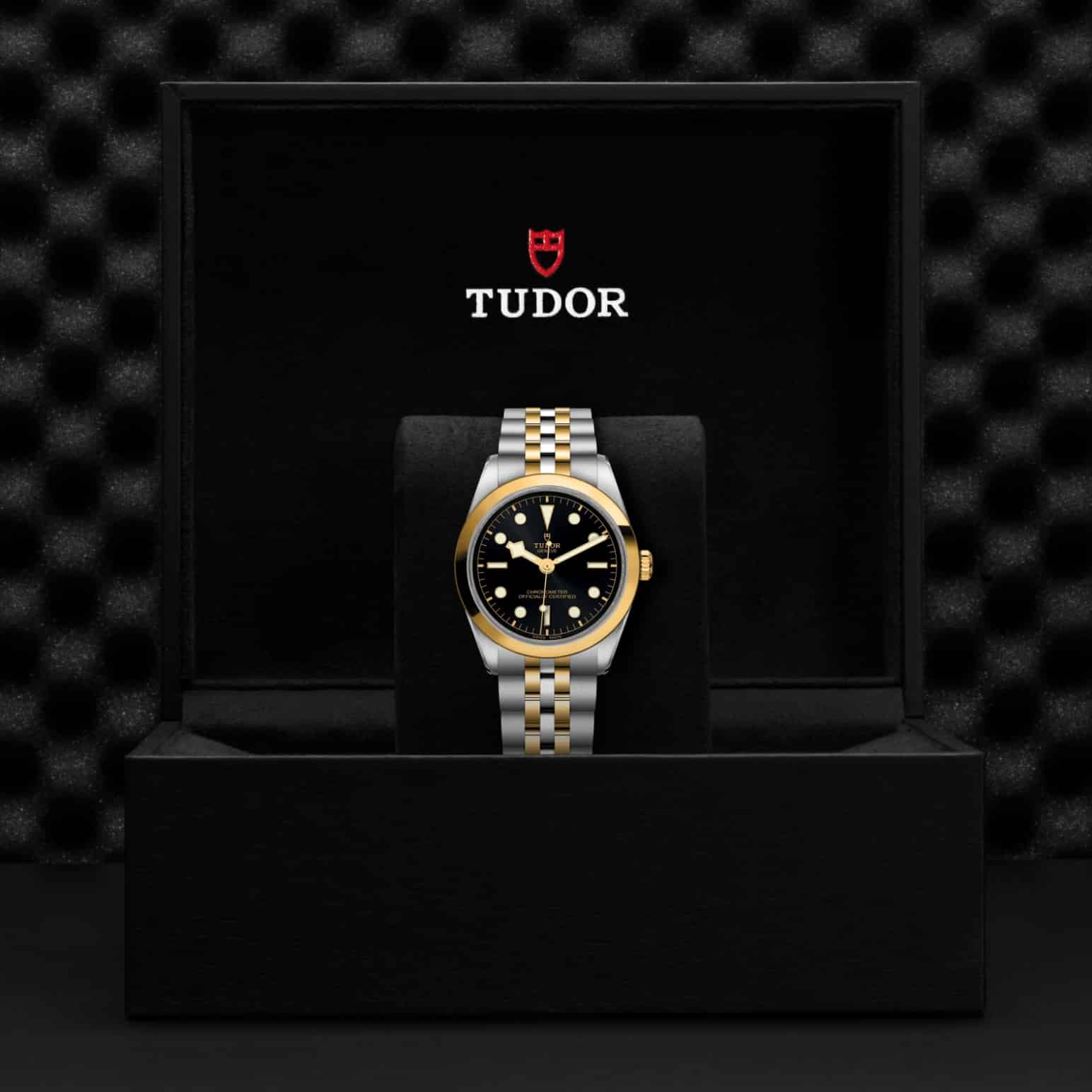 tudor-m79643-0001-2.jpg