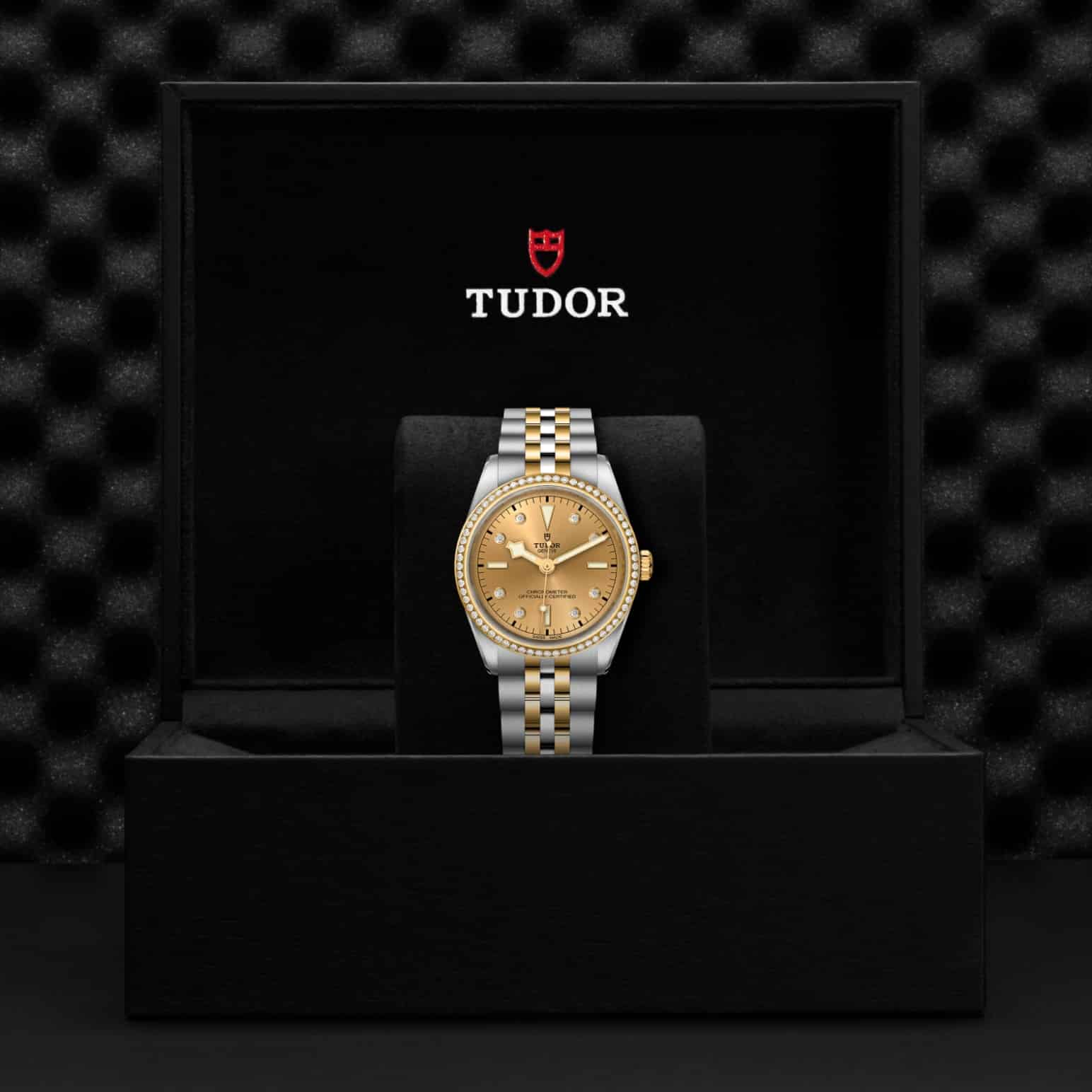 tudor-m79653-0007-2.jpg