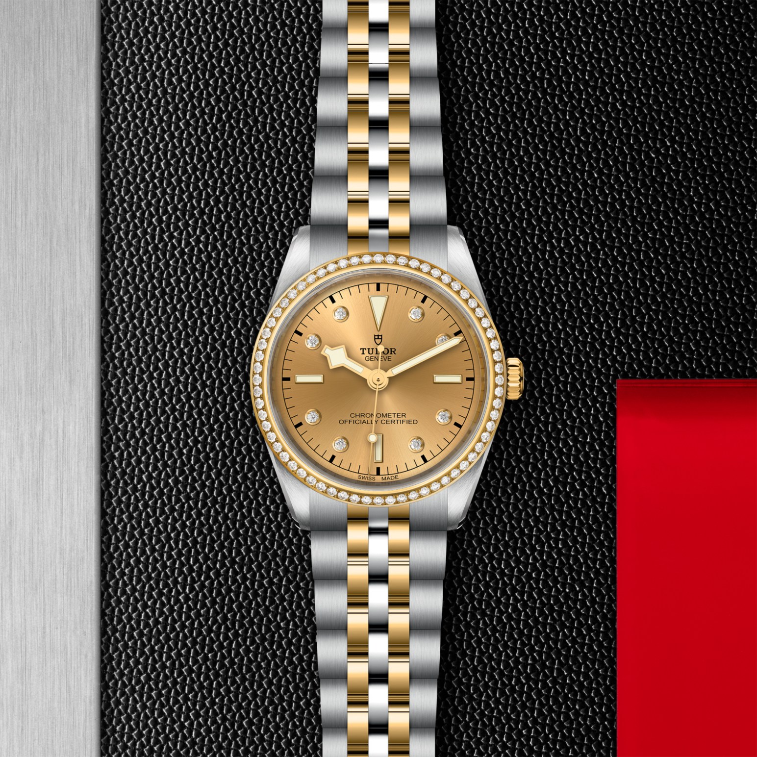 tudor-m79653-0007.jpg