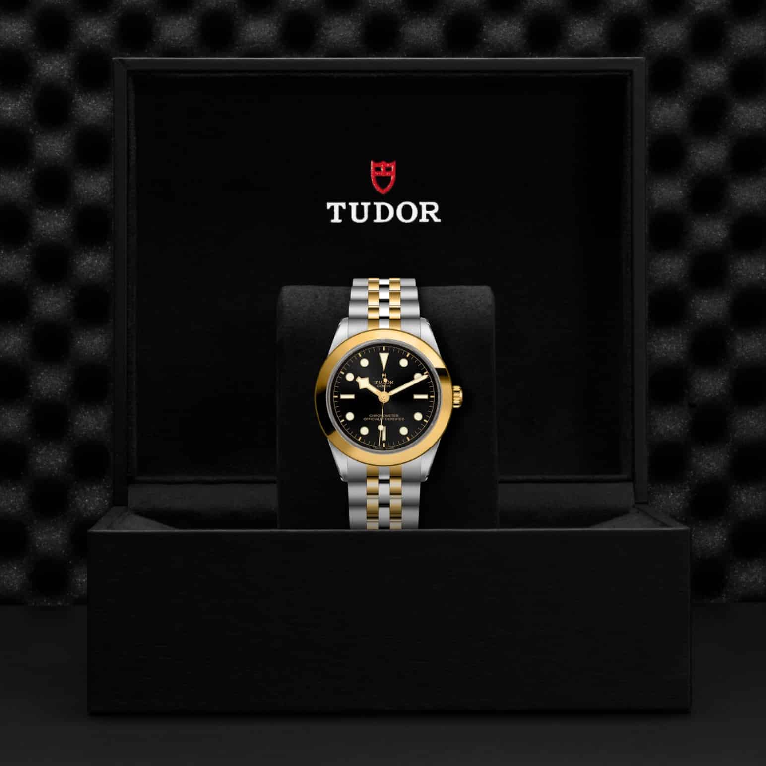 tudor-m79663-0001-2.jpg