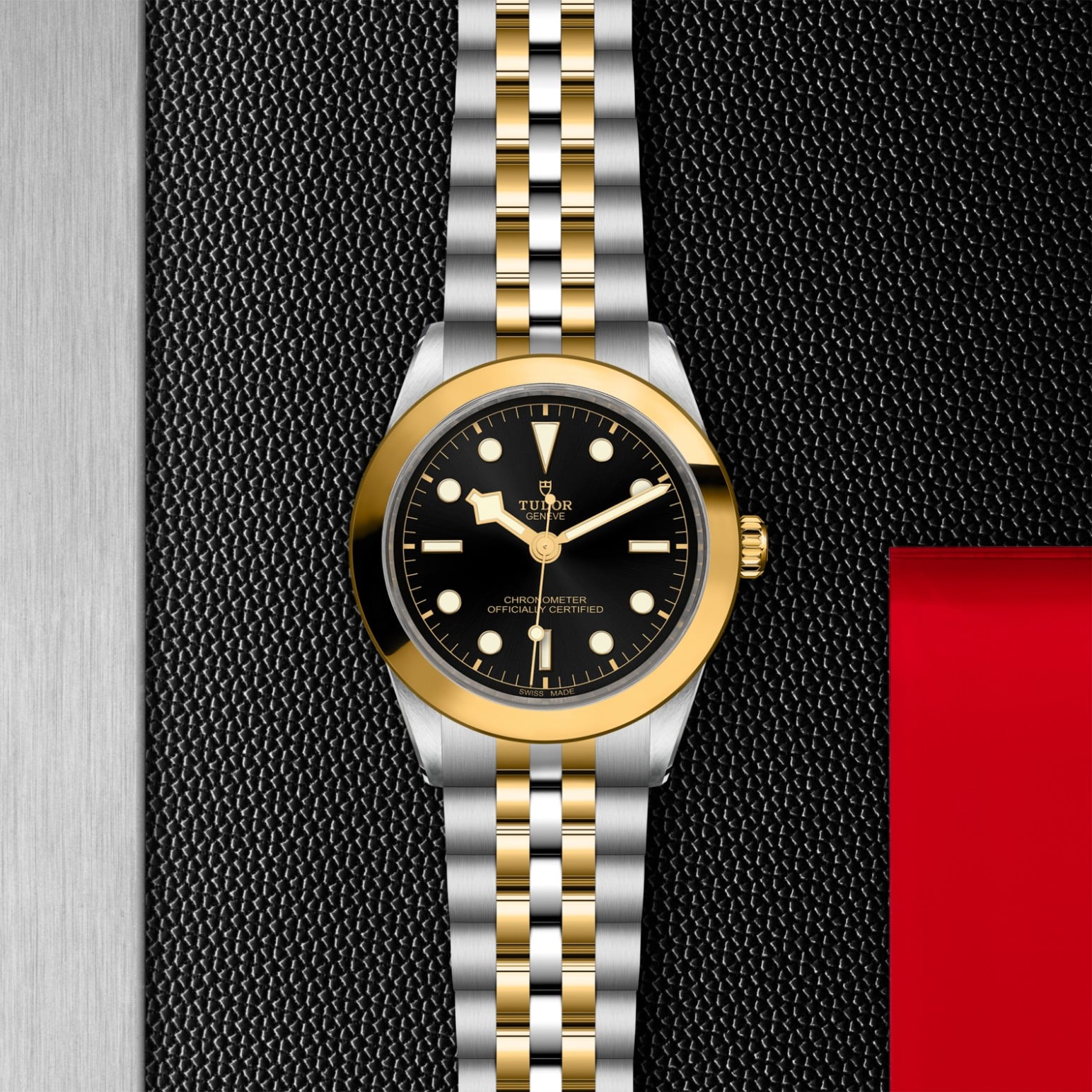 tudor-m79663-0001.jpg
