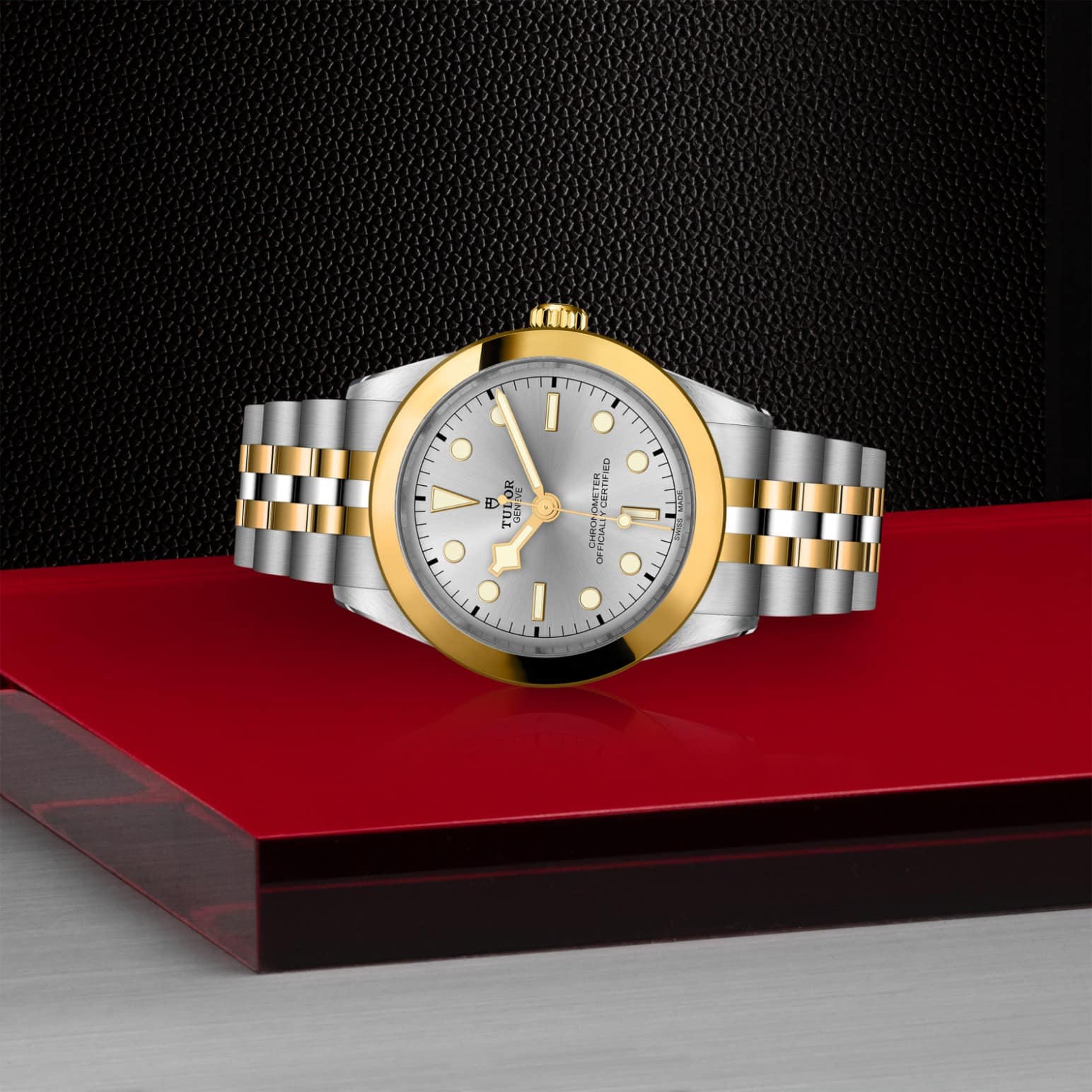 tudor-m79663-0002-1.jpg