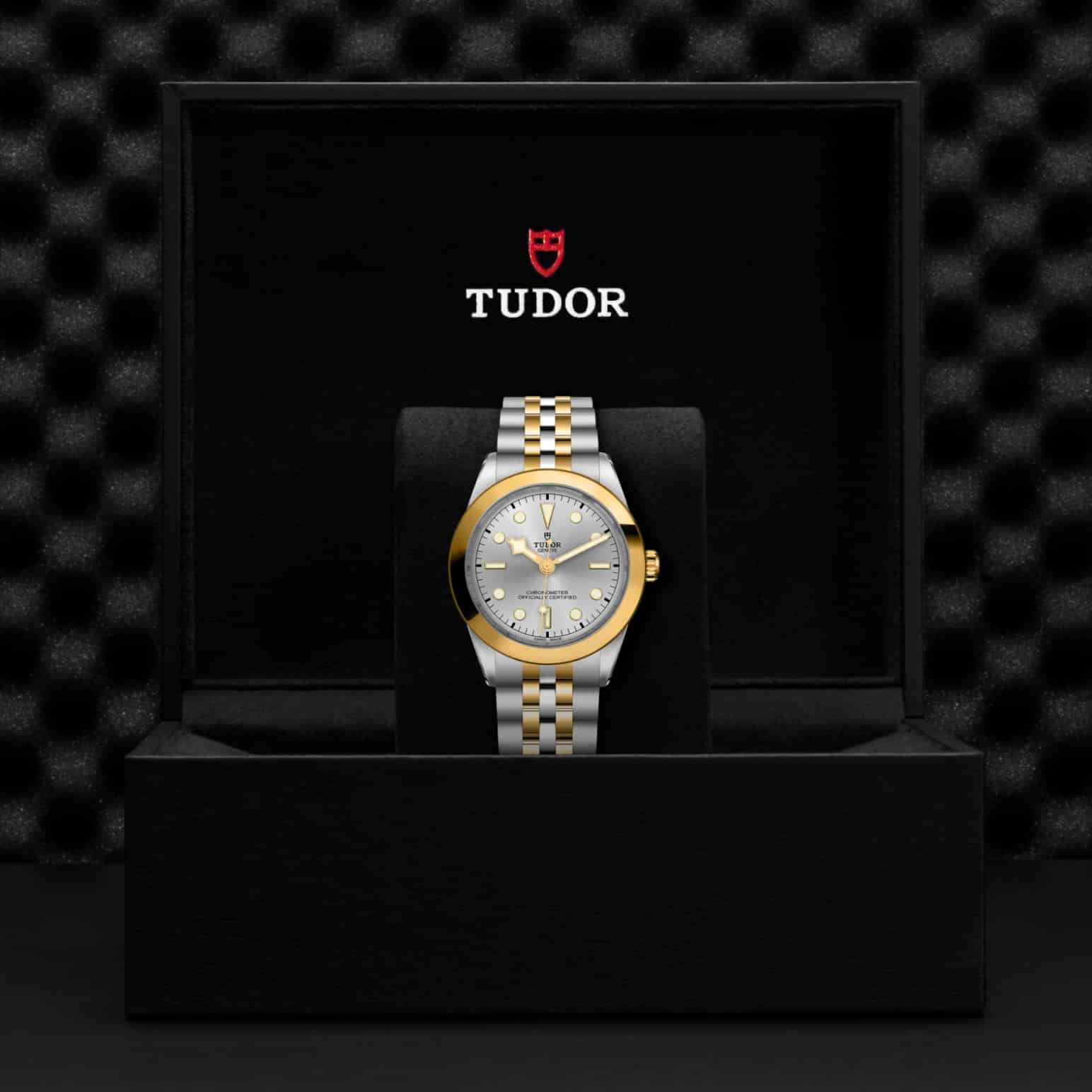 tudor-m79663-0002-2.jpg