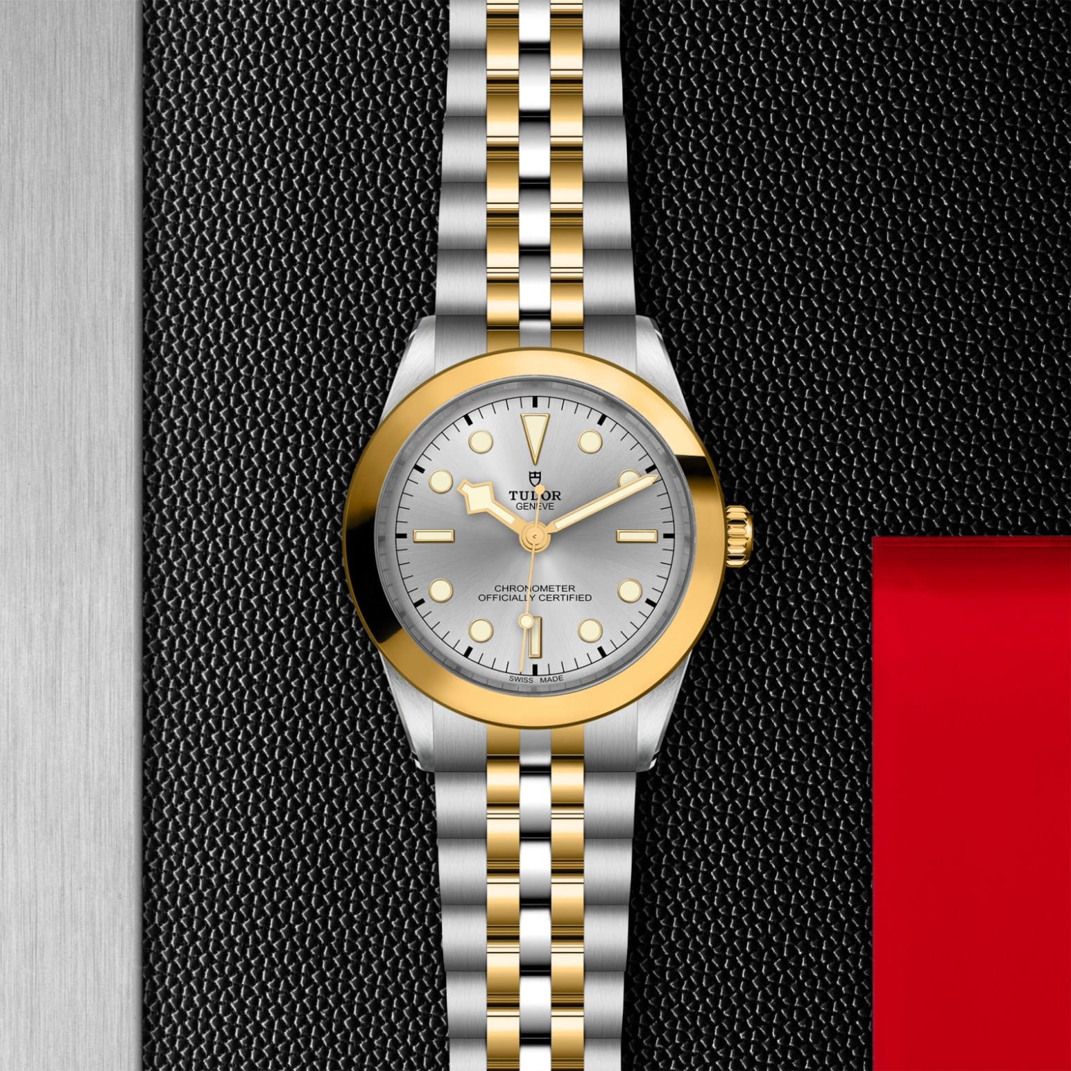 tudor-m79663-0002.jpg