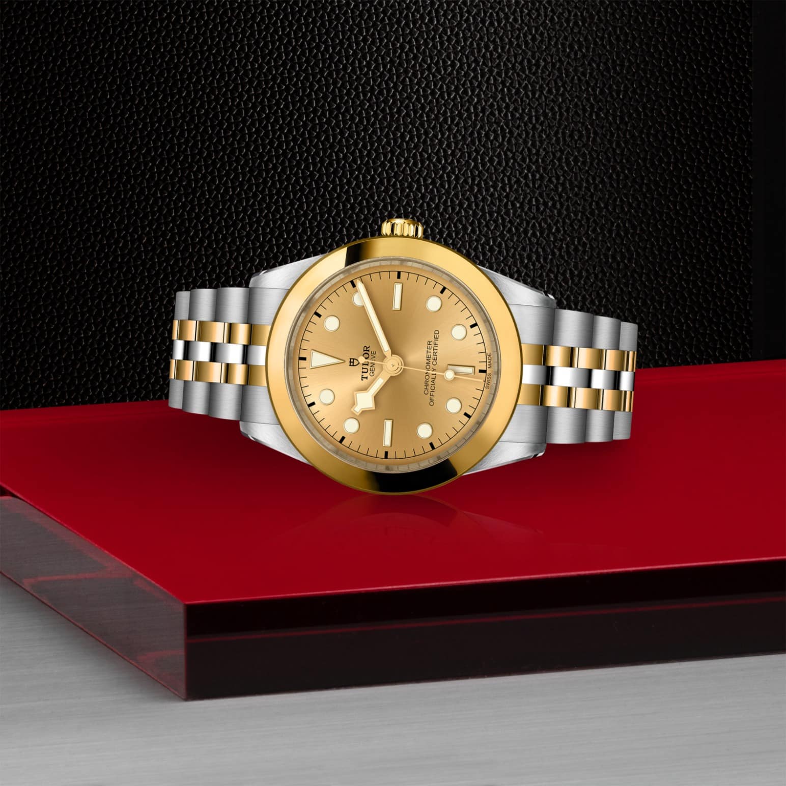 tudor-m79663-0005-1.jpg