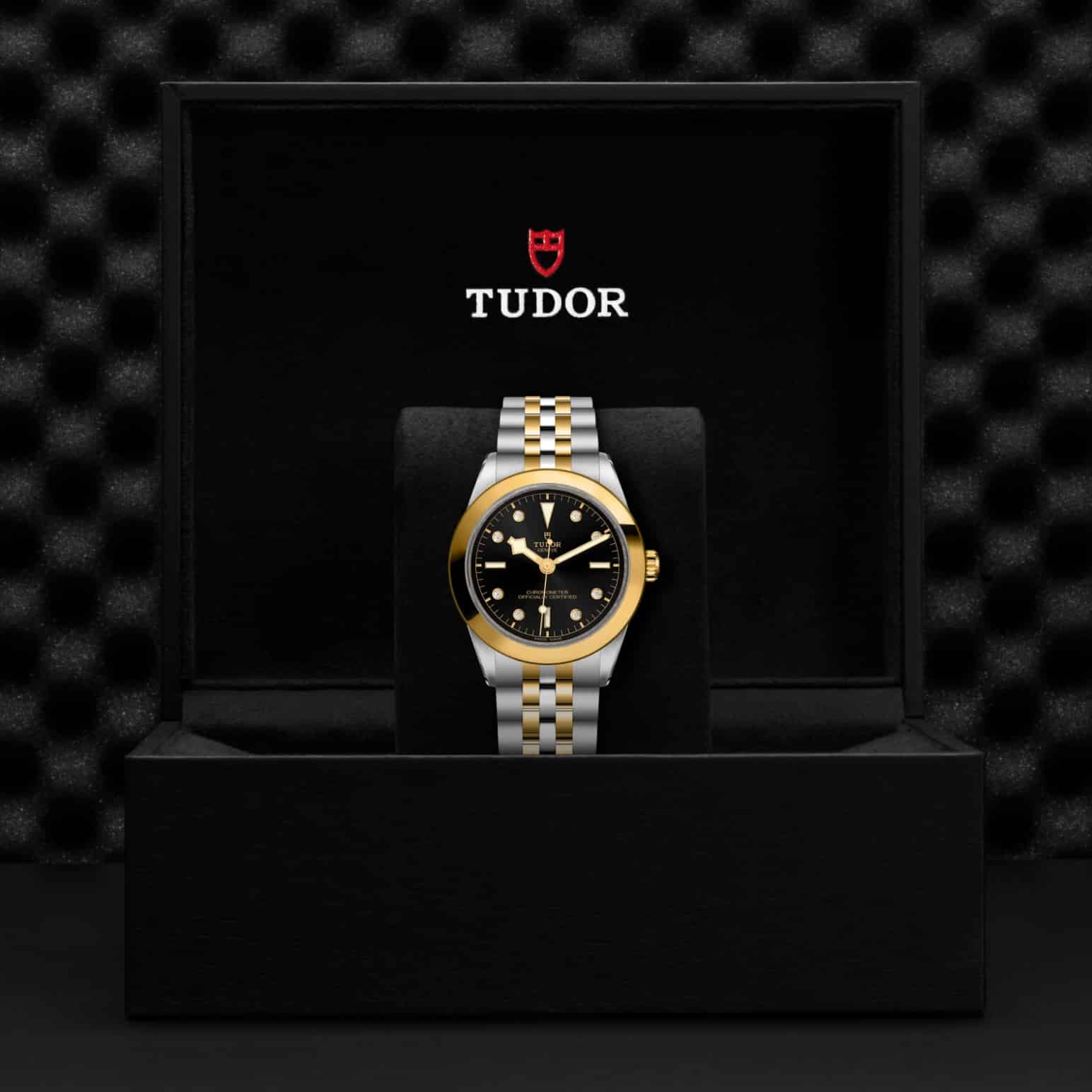tudor-m79663-0006-2.jpg