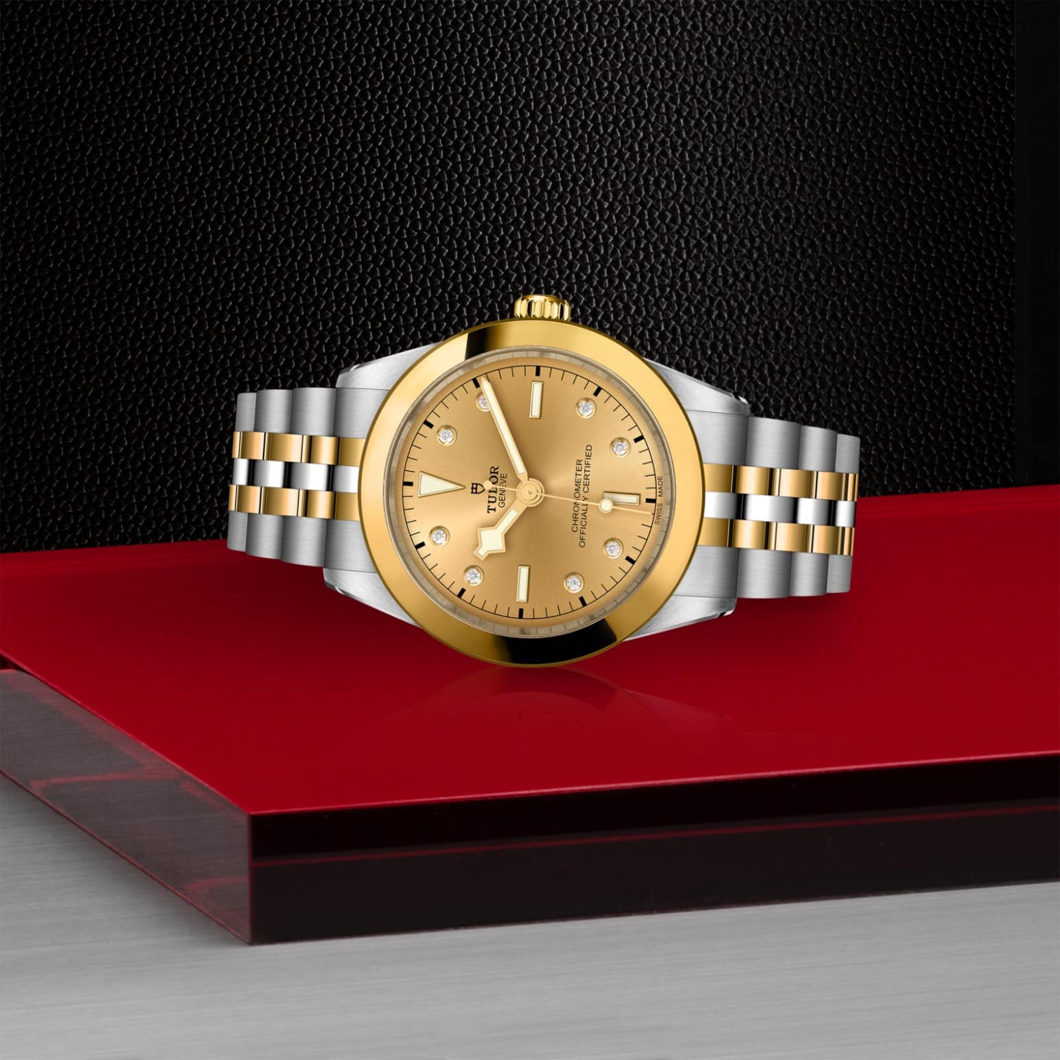 tudor-m79663-0008-1.jpg
