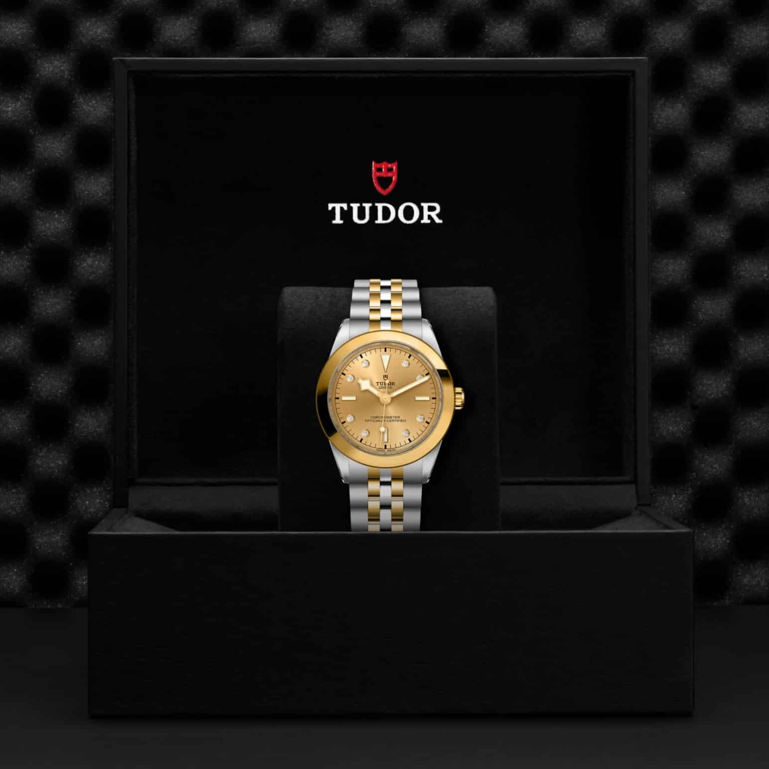 tudor-m79663-0008-2.jpg