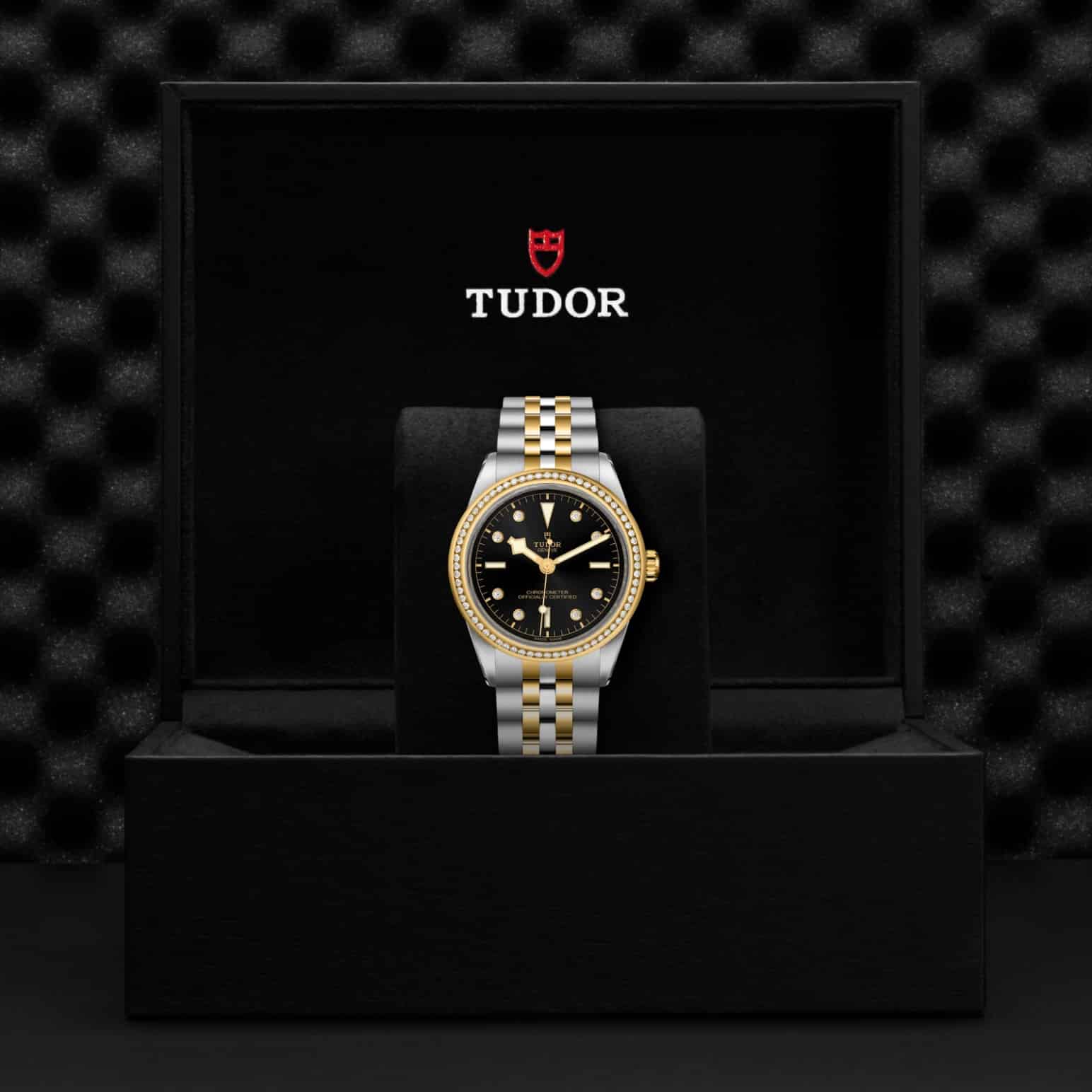 tudor-m79673-0005-2.jpg