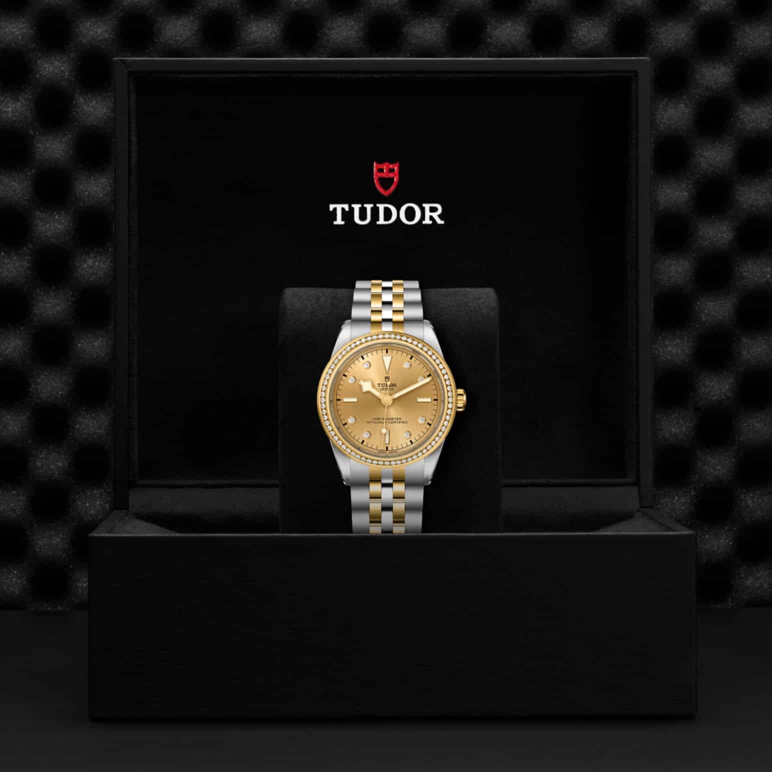 tudor-m79673-0007-2.jpg