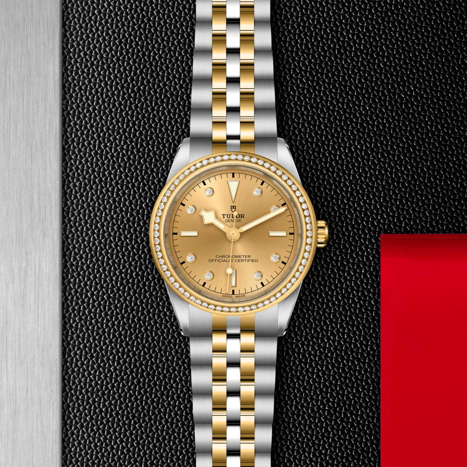 tudor-m79673-0007.jpg