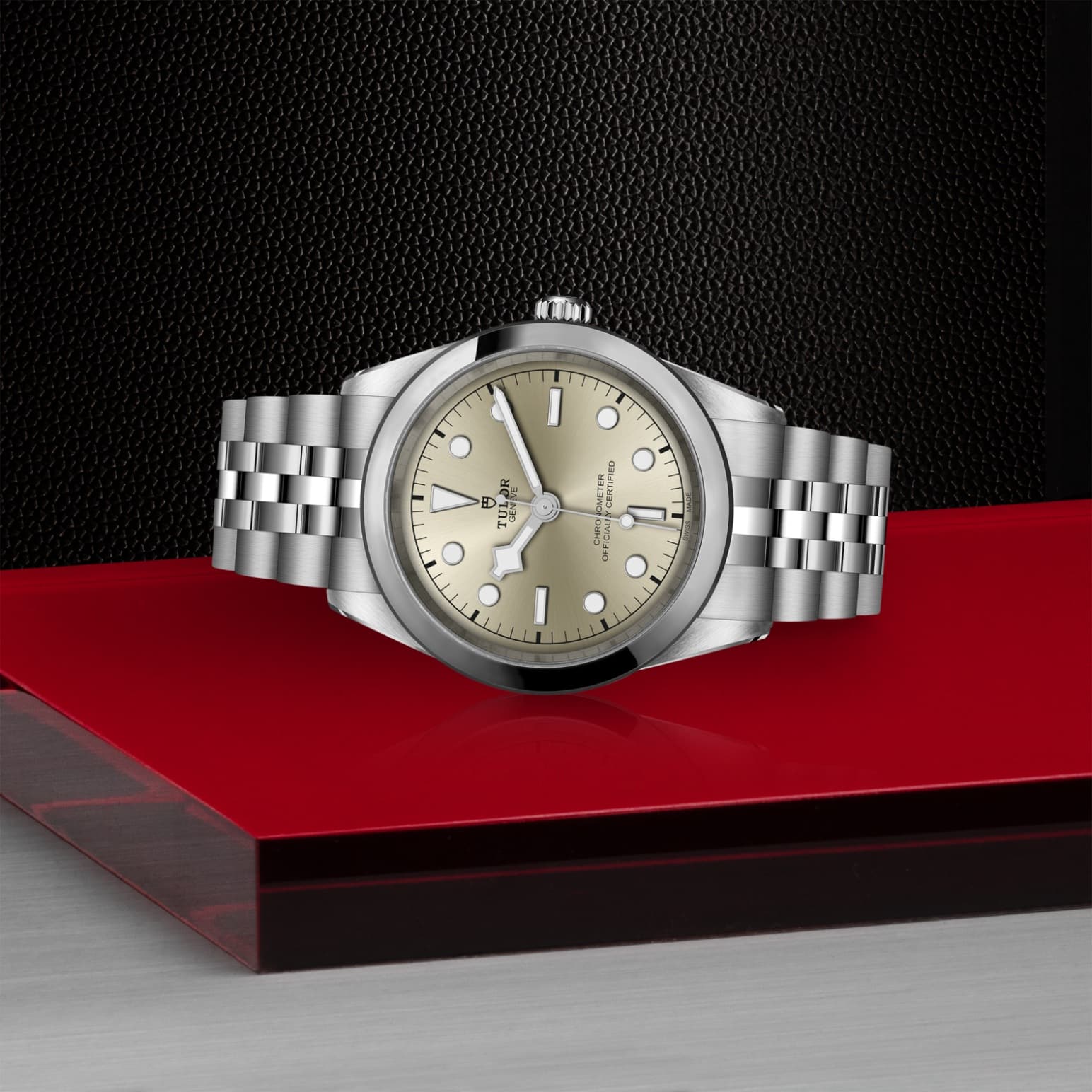 tudor-m79680-0003-1.jpg
