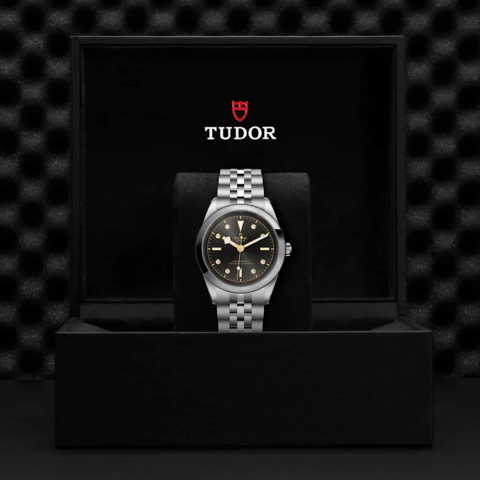 tudor-m79680-0004-2.jpg