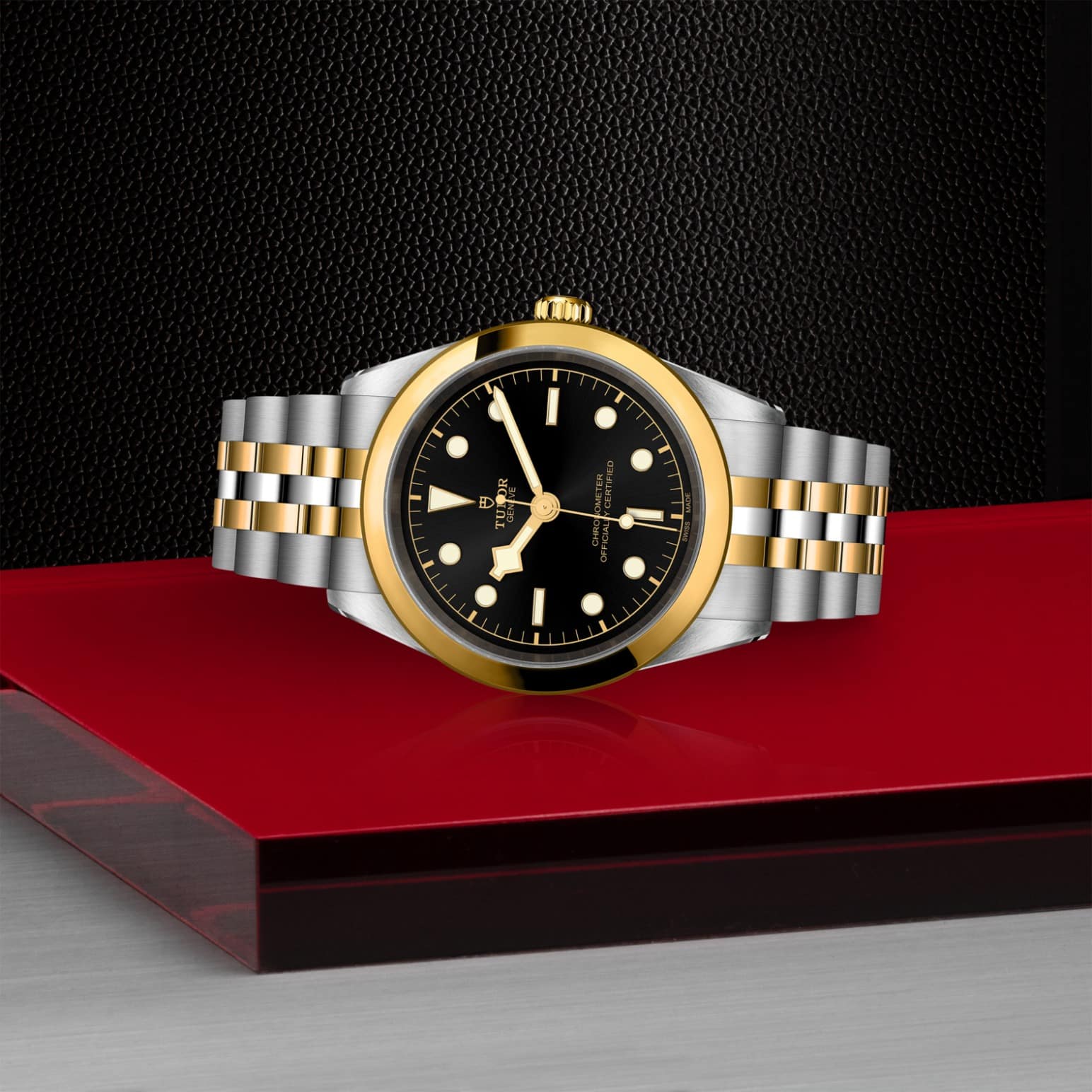 tudor-m79683-0001-1.jpg