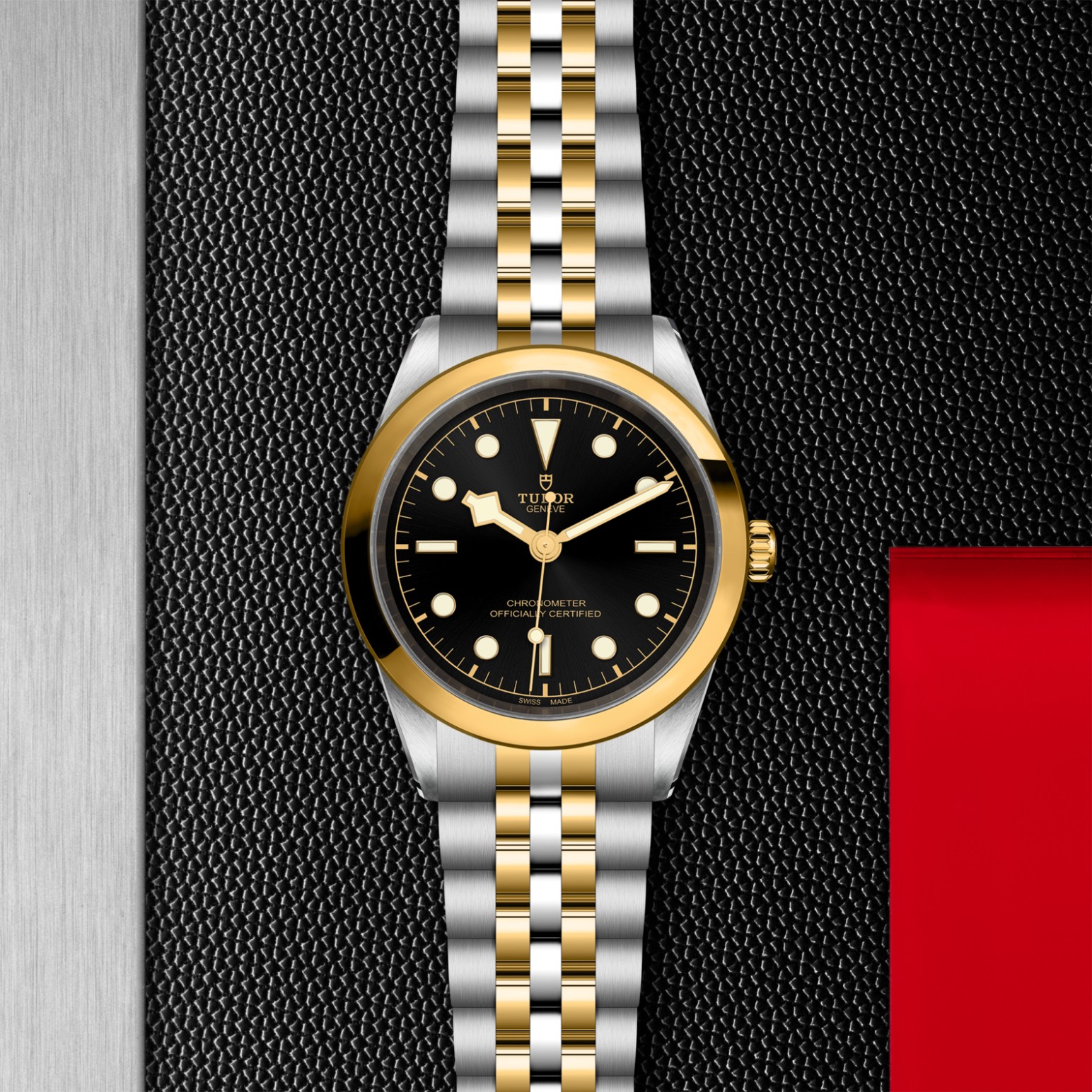 tudor-m79683-0001.jpg