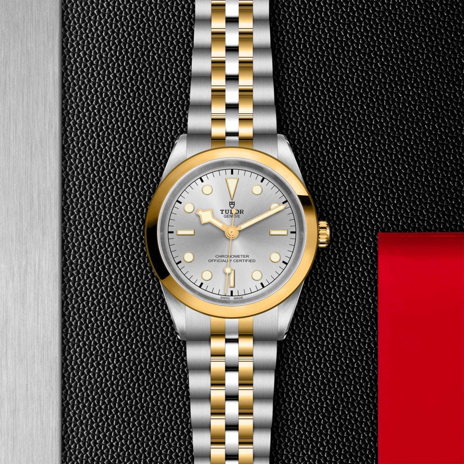 tudor-m79683-0002.jpg