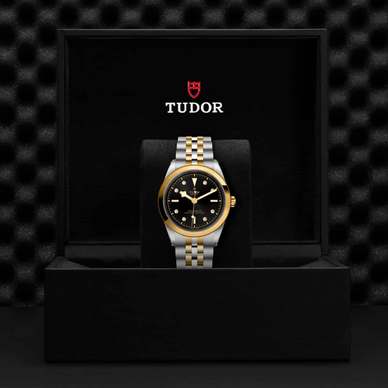 tudor-m79683-0006-2.jpg