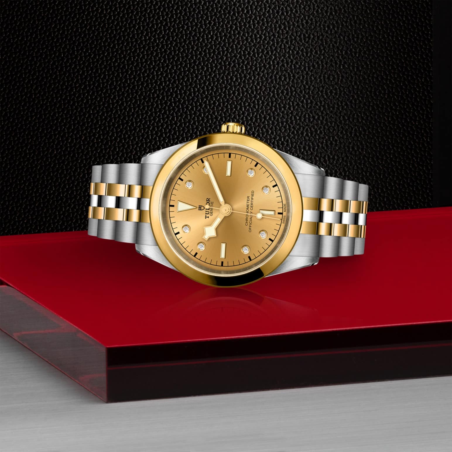 tudor-m79683-0008-1.jpg