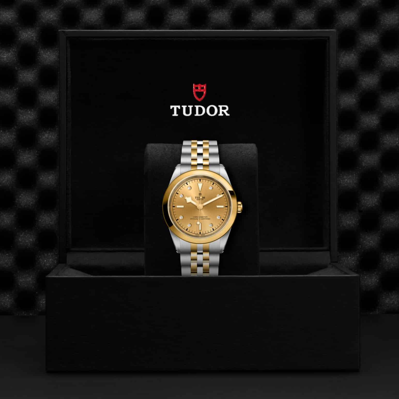 tudor-m79683-0008-2.jpg