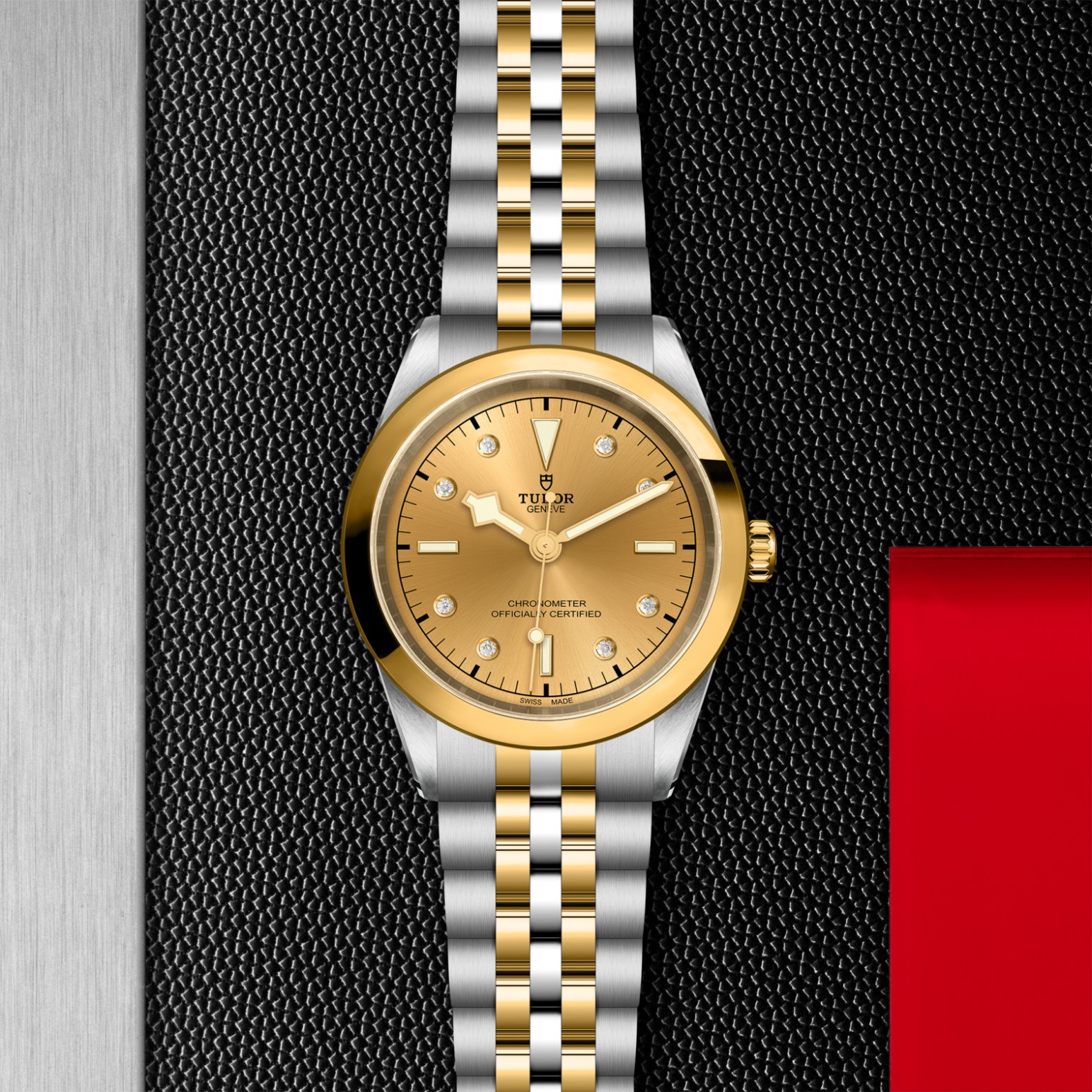 tudor-m79683-0008.jpg